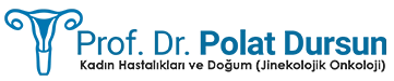 Polat Dursun Logo